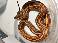 IMG_4933.jpg