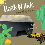 reptile-basking-platform.jpg