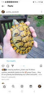 Screenshot_20240307_133401_Instagram.jpg