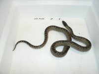 GEDC3568.JPG