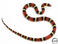 2 (7).jpg