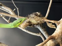 IMG_1664.jpg