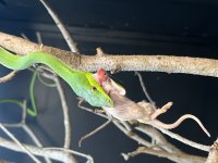 IMG_1571.jpg