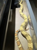 B8E6FC2D-8749-4621-BD52-38E735D65BF6.jpg
