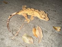 IMG_1697.jpg