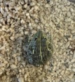 IMG_1092.jpg