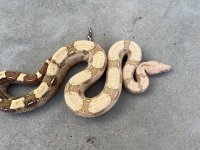 B1FE3294-4F69-44C8-AA40-A98DA8AC77F9.jpg