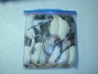 Medium Rats.JPG