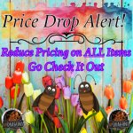 Price.jpg