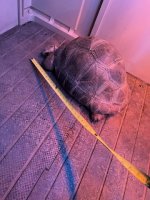 IMG_20240115_175551_01.jpg