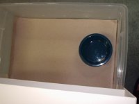 P1010003.JPG