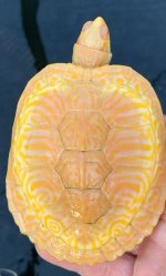 IMG_1286.jpeg