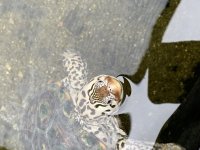 IMG_0940.jpg