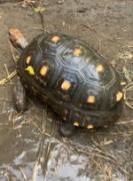 IMG_1290.jpeg