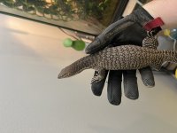 IMG_8794.jpg