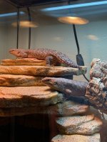 C89EDED2-C594-49AC-839C-0A3D577EA46A.jpg