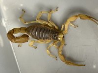 IMG_9499.jpg