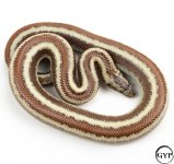 2 (7).jpg