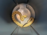 IMG_0044.jpg