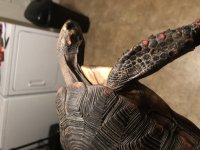 IMG_1069.jpg