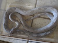 IMG_2371.jpg