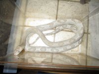 IMG_2369.jpg