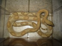 IMG_2376.jpg