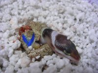 DSCN3865.JPG