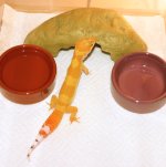 IMG_1395.jpg