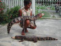 Hunter Stolen Animals 1.jpg