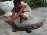 Hunter Stolen Animals 2.jpg