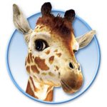 giraffe.jpg