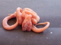 creamsicle twins bad egg.jpg fauna.jpg