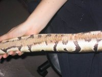 Picture 0411.jpg
