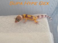 2006_0424supahypegex424061.JPG