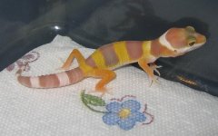 IMG_0847.JPG
