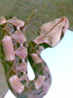 Image018.jpg