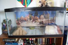 Lousaka's crib.JPG