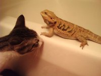 scarlett and bubby.jpg