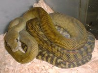 lilxanfem3-17-04.012.jpg