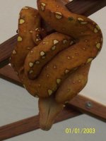GTP 2.JPG