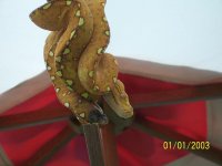 GTP 3.JPG