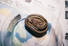 0394648-r1-038-17a.jpg