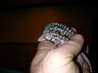 Dscn3880.jpg