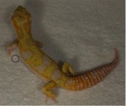 007noflash (Small).jpg