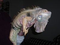100_6773spike.jpg
