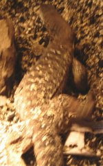 IMG_1245_edited.jpg