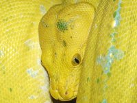 GS_073007.jpg