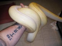 HPIM0220.JPG
