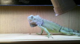 2011-04-24_19-06-37_609.jpg
